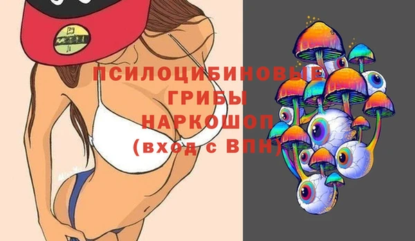 крисы Нягань