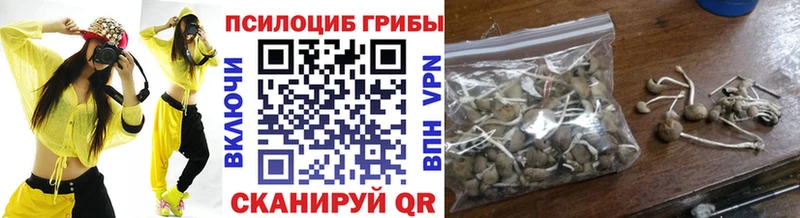 Псилоцибиновые грибы Psilocybine cubensis  Купить где  Узловая 
