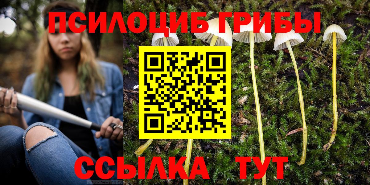 Узловая  Галлюциногенные грибы мицелий  Псилоцибиновые грибы мицелий  Вход с VPN 
