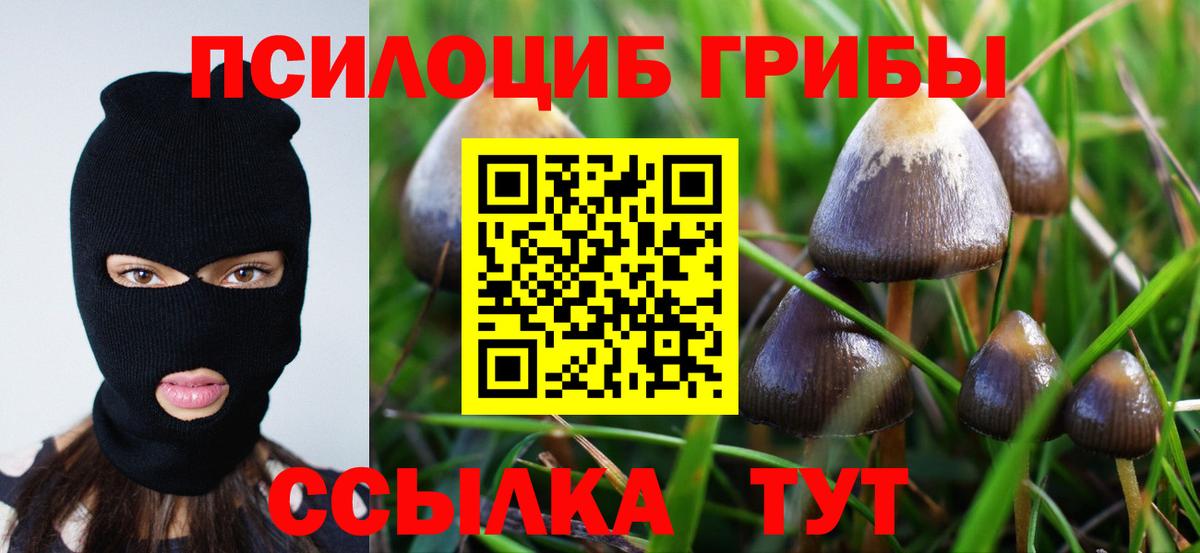 Галлюциногенные грибы GOLDEN TEACHER Узловая