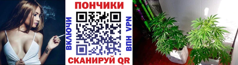 Купить где  Узловая  МАРИХУАНА LSD WEED 